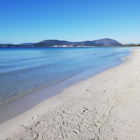 Nuovissimo Appartamento Con Terrazza Alghero Exterior foto